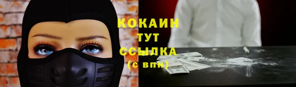 мяу мяу мука Арсеньев