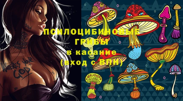 мяу мяу мука Арсеньев
