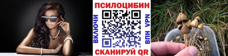 Псилоцибиновые грибы ЛСД Навашино
